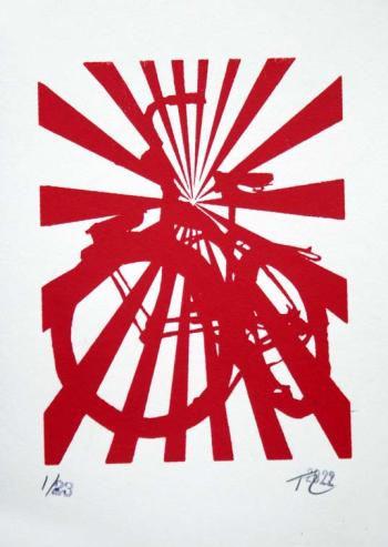 Schwinn Fleet Startburst Print