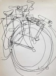 Schwinn Fleet Blind Drawing